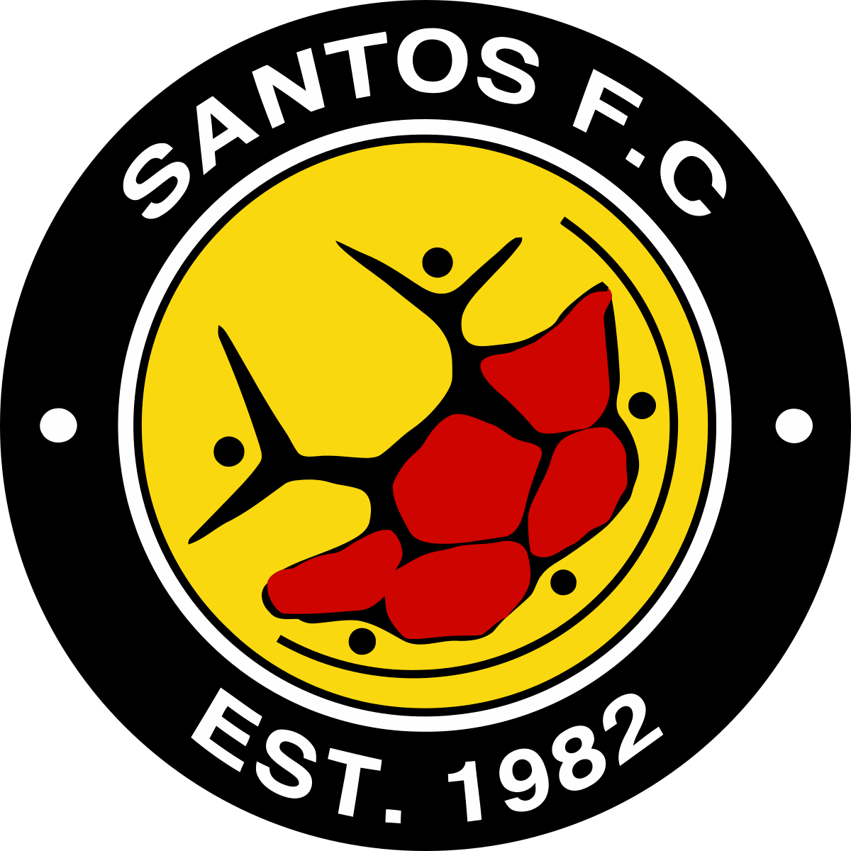 Santos Cape Town 队徽